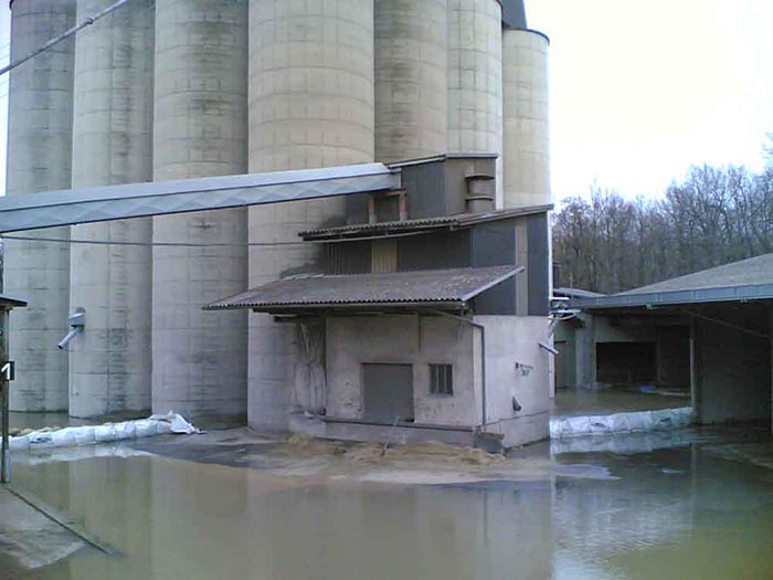 duernkrut_041